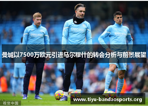 曼城以7500万欧元引进马尔穆什的转会分析与前景展望 曼城以7500万欧元引进马尔穆什的转会分析与前景展望