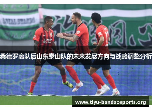 桑德罗离队后山东泰山队的未来发展方向与战略调整分析 桑德罗离队后山东泰山队的未来发展方向与战略调整分析