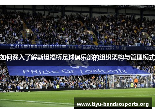 如何深入了解斯坦福桥足球俱乐部的组织架构与管理模式