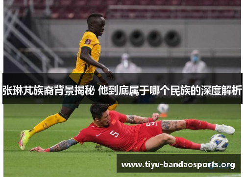 张琳芃族裔背景揭秘 他到底属于哪个民族的深度解析