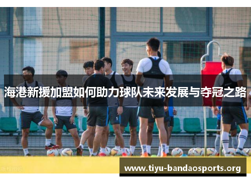 海港新援加盟如何助力球队未来发展与夺冠之路