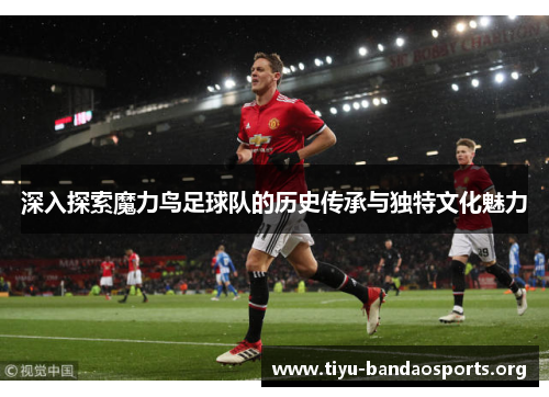深入探索魔力鸟足球队的历史传承与独特文化魅力