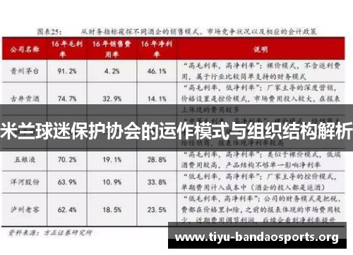 米兰球迷保护协会的运作模式与组织结构解析 米兰球迷保护协会的运作模式与组织结构解析