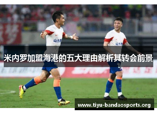 米内罗加盟海港的五大理由解析其转会前景 米内罗加盟海港的五大理由解析其转会前景