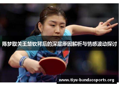 陈梦取关王楚钦背后的深层原因解析与情感波动探讨 陈梦取关王楚钦背后的深层原因解析与情感波动探讨